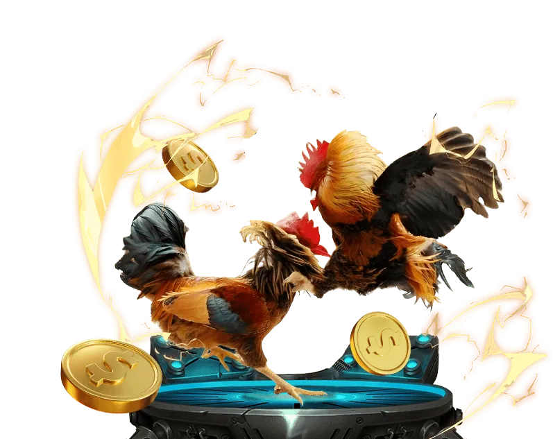 Điền thông tin cá nhân